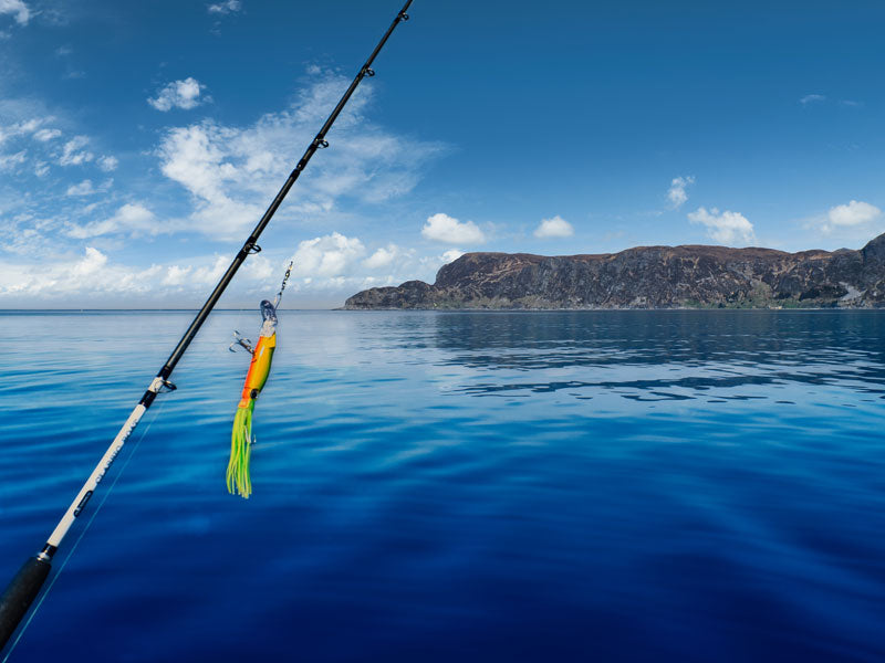 Premium Fishing Gear: Tailored solutions for every angler's needs